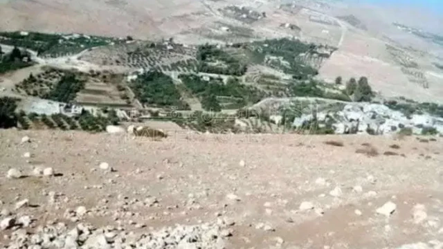 أرض - القنيه شارع رئيسي يربط جرش القنيه السخنه الزرقاء  - 55000 دأ