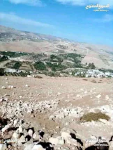 أرض في القنيه شارع رئيسي يربط جرش القنيه السخنه الزرقاء  - 55,000 دأ - صورة NaN