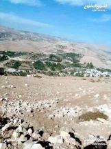 أرض في القنيه شارع رئيسي يربط جرش القنيه السخنه الزرقاء  - 55,000 دأ - صورة NaN