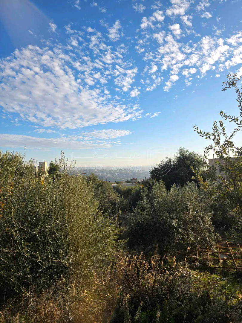 أرض في عمان بدر الجديده. بلال . الغروس الغربي. - 225,000 دأ - صورة 1
