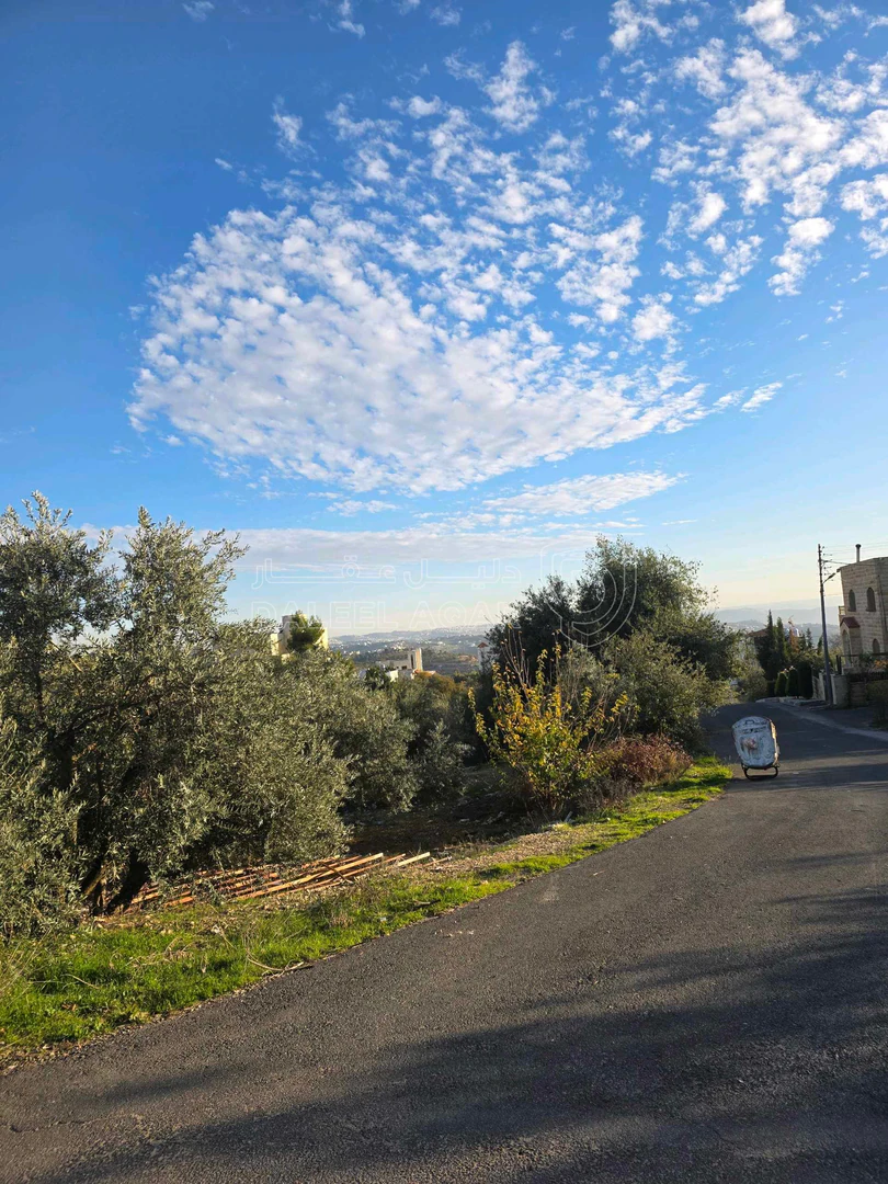 أرض في عمان بدر الجديده. بلال . الغروس الغربي. - 225,000 دأ - صورة 1