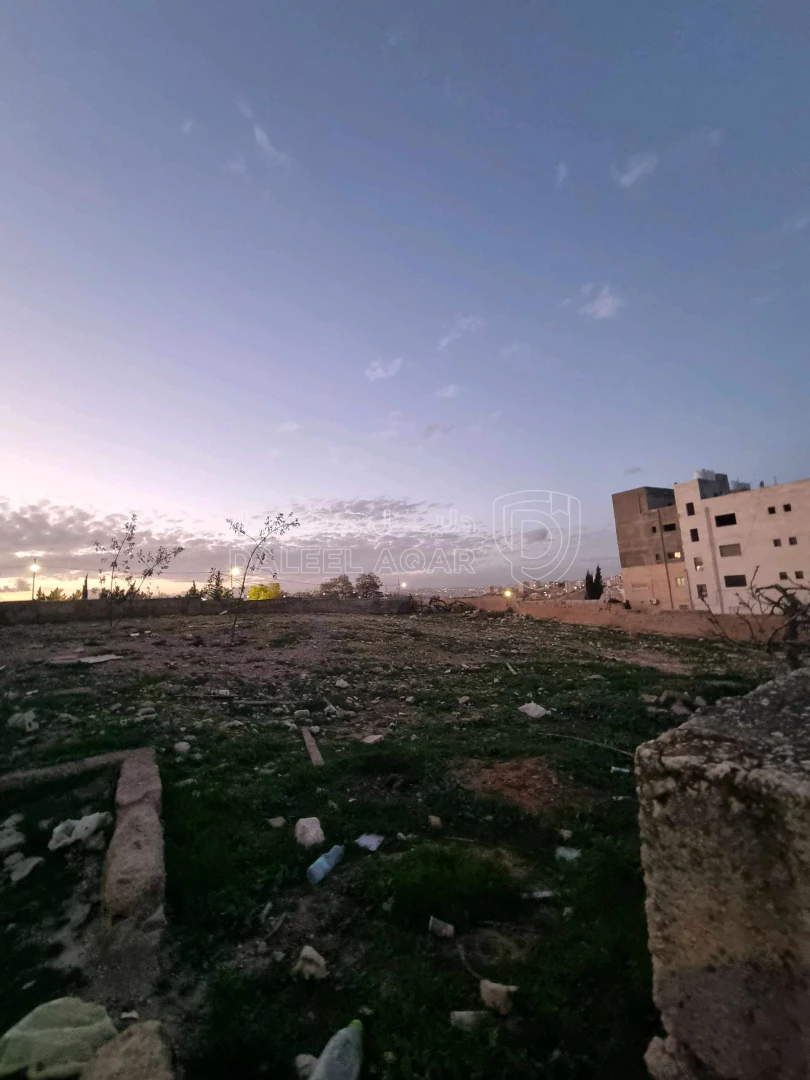 أرض في عمان ام نوارة 2 - 142,825 دأ - صورة 1