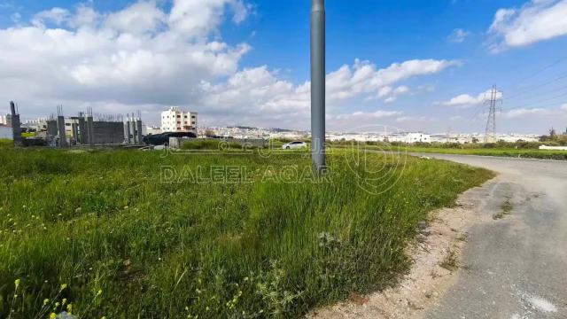 أرض - الجويدة - 72000 دأ
