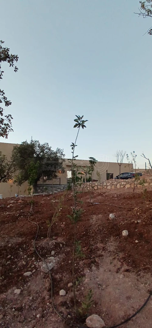 مزرعة/شاليه في العالوك الكمشه  - 260,000 دأ - صورة 1