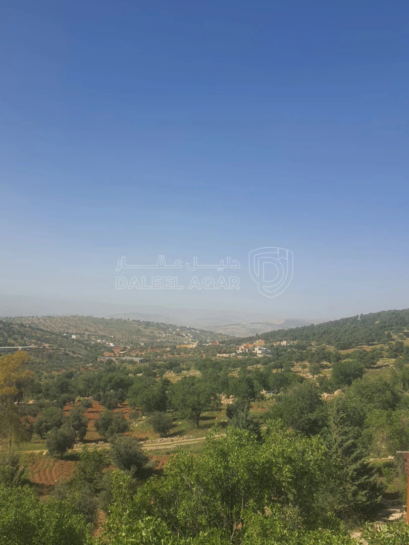 مزرعة/شاليه في العالوك الكمشه  - 260,000 دأ - صورة 1