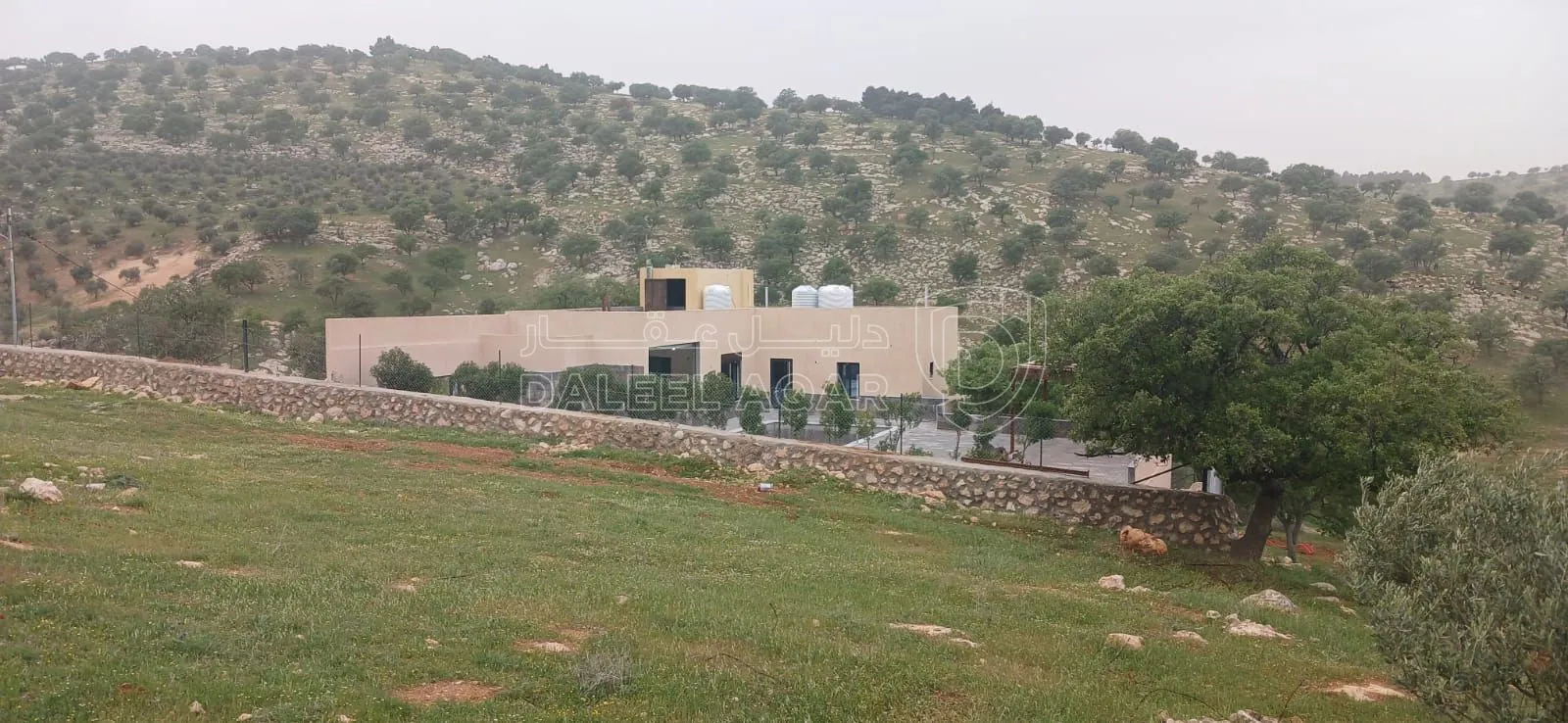 مزرعة/شاليه في العالوك الكمشه  - 260,000 دأ - صورة 1