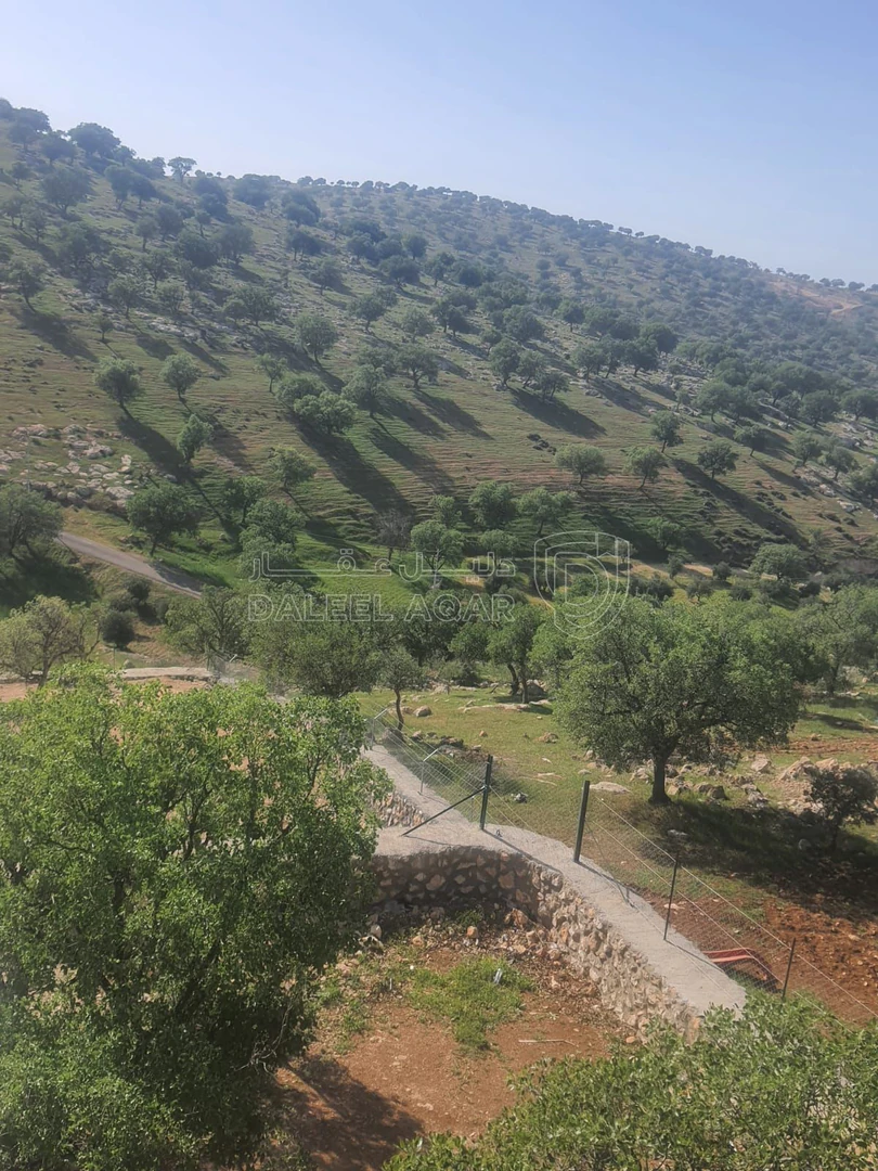 مزرعة/شاليه في العالوك الكمشه  - 260,000 دأ - صورة 1