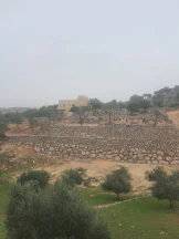 مزرعة/شاليه في العالوك الكمشه  - 260,000 دأ - صورة NaN
