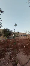 مزرعة/شاليه في العالوك الكمشه  - 260,000 دأ - صورة NaN