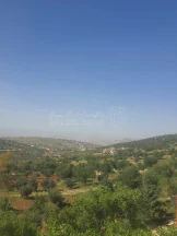 مزرعة/شاليه في العالوك الكمشه  - 260,000 دأ - صورة NaN
