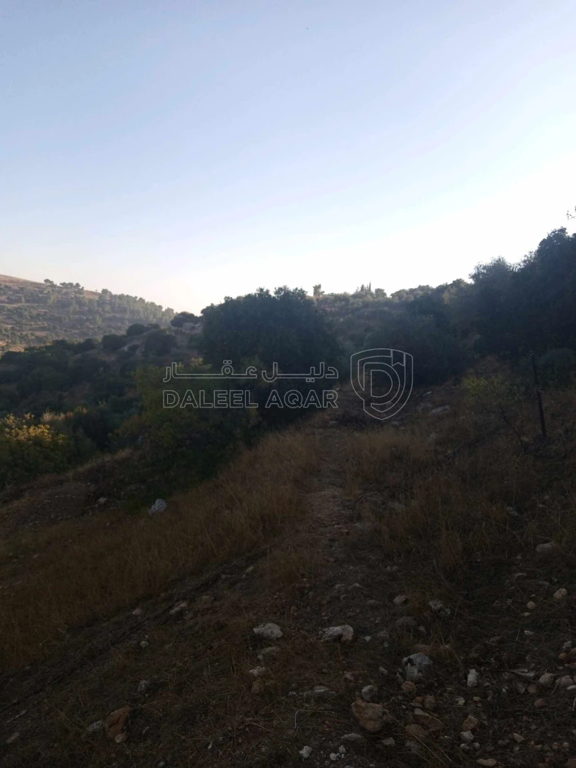 أرض في اربد /النعيمه /قرب طريق عجلون النعيمه - 50,000 دأ - صورة 24