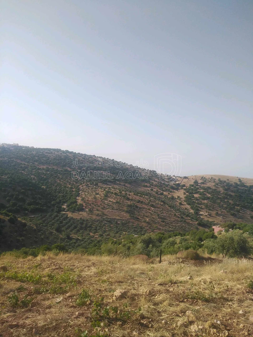 أرض في اربد /النعيمه /قرب طريق عجلون النعيمه - 50,000 دأ - صورة 7