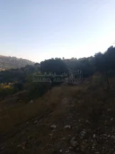 أرض في اربد /النعيمه /قرب طريق عجلون النعيمه - 50,000 دأ - صورة NaN