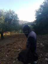 أرض في اربد /النعيمه /قرب طريق عجلون النعيمه - 50,000 دأ - صورة NaN