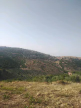 أرض في اربد /النعيمه /قرب طريق عجلون النعيمه - 50,000 دأ - صورة NaN
