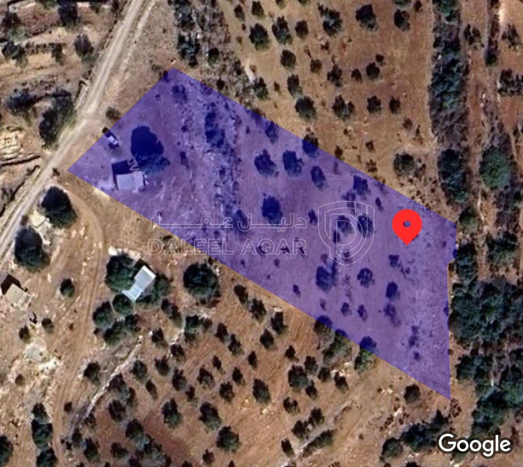 أرض في دبة النمر - 60,000 دأ - صورة 1