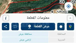 أرض في جرش المجدل - 360,000 دأ - صورة 1