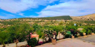 مزرعة/شاليه - مزرعه و شاليه للبيع  - 360000 دأ