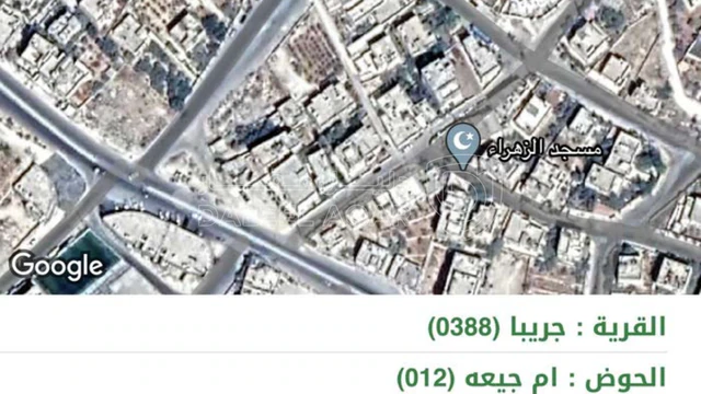 أرض في جريبا  - 45,000 دأ - صورة NaN