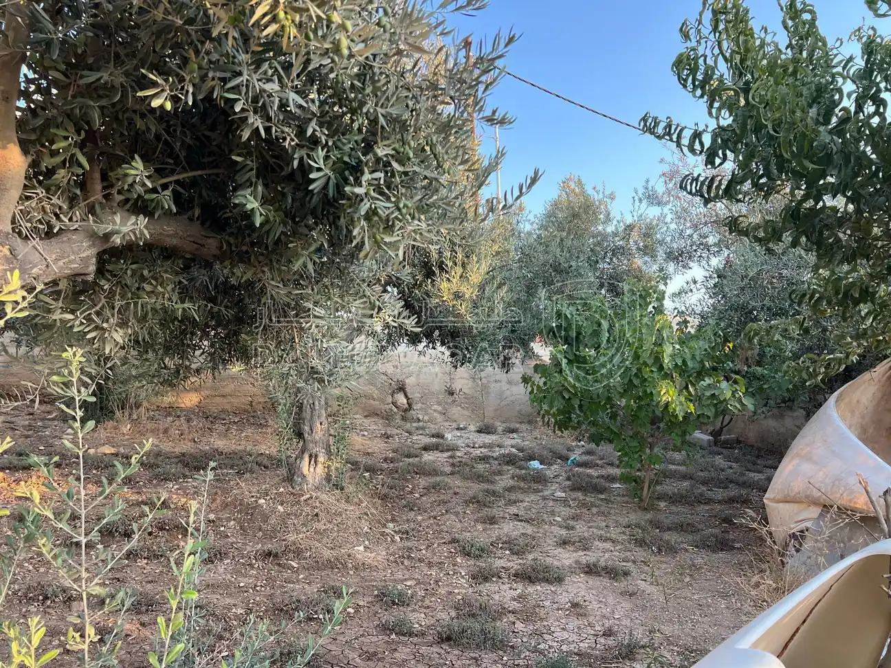 أرض في  ‏اربد الحصن طريق البترول  - 70,000 دأ - صورة 1