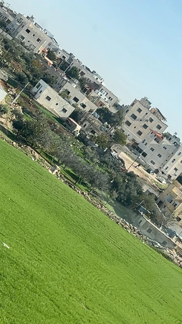 أرض في  ‏اربد الحصن طريق البترول  - 70,000 دأ - صورة 1