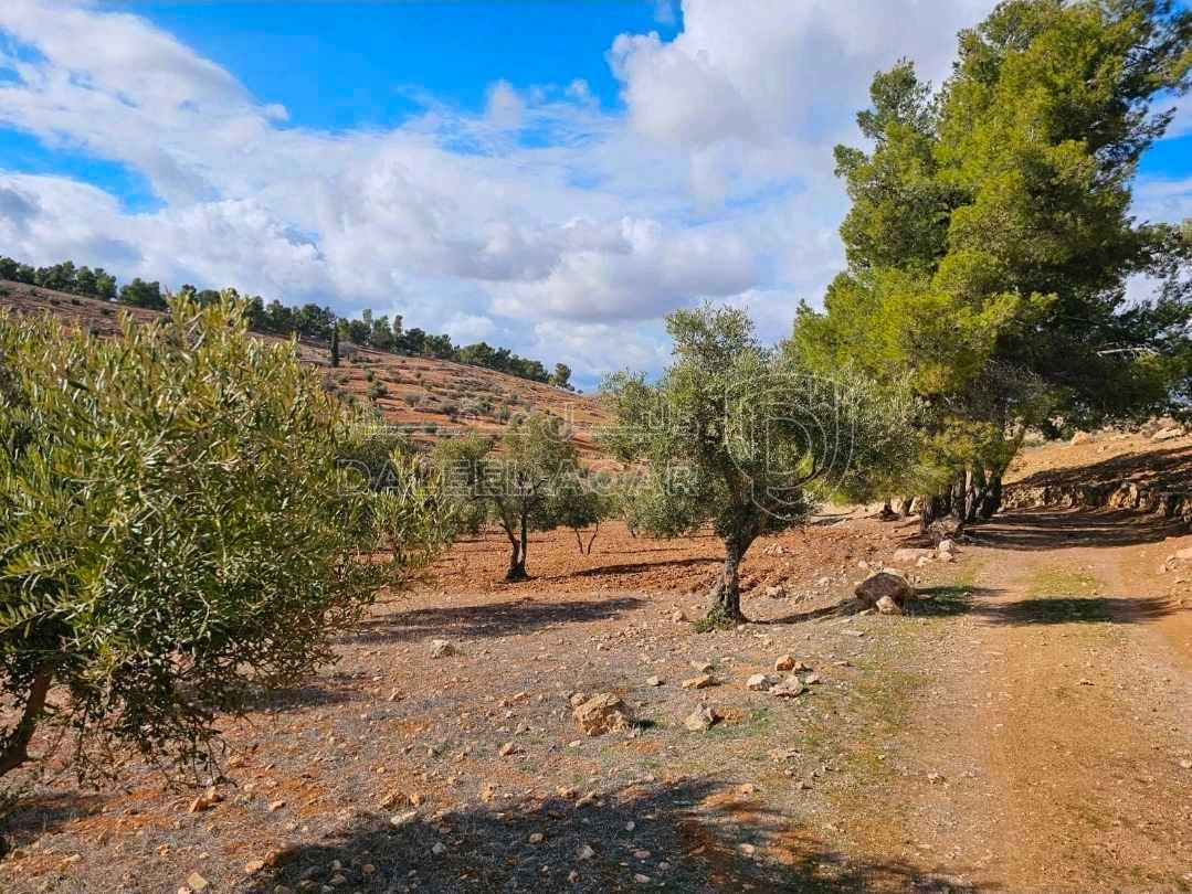 أرض في أرض للبيع في منطقة جرش  - 30,000 دأ - صورة 1