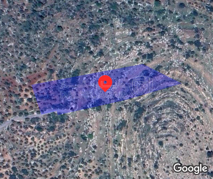 أرض في اربد ... دير يوسف  - 60,000 دأ - صورة 1