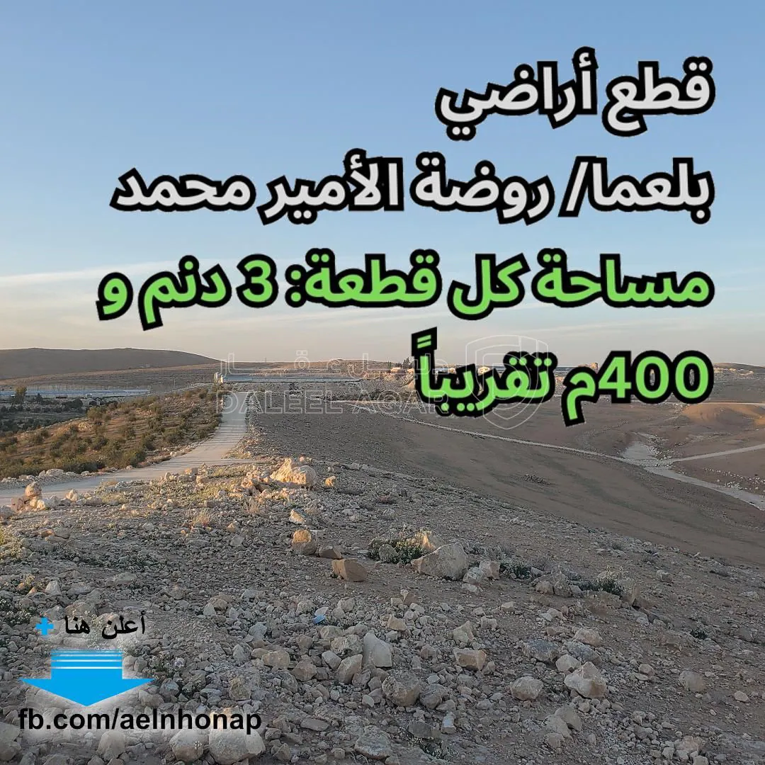 أرض في بلعما - روضة الأمير محمد - 16,000 دأ - صورة 1