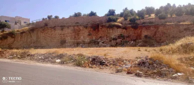 أرض في جرش / سوف/وادي الدن  - 140,000 دأ - صورة NaN