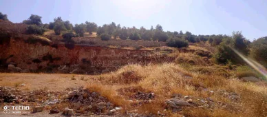 أرض في جرش / سوف/وادي الدن  - 140,000 دأ - صورة NaN