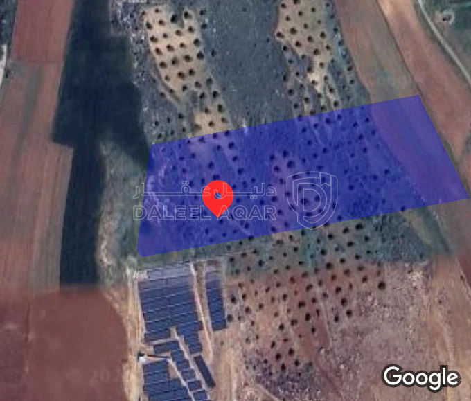 أرض في ارض زراعية للبيع  - 45,000 دأ - صورة 1