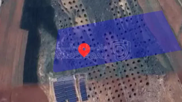 أرض في ارض زراعية للبيع  - 45,000 دأ - صورة 1