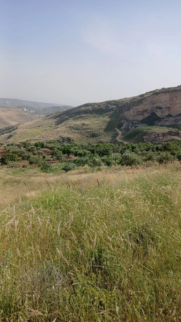 أرض في السلط - الفزره - تبعد عن جسر الدبابنه 10 دقايق - 115,000 دأ - صورة 1