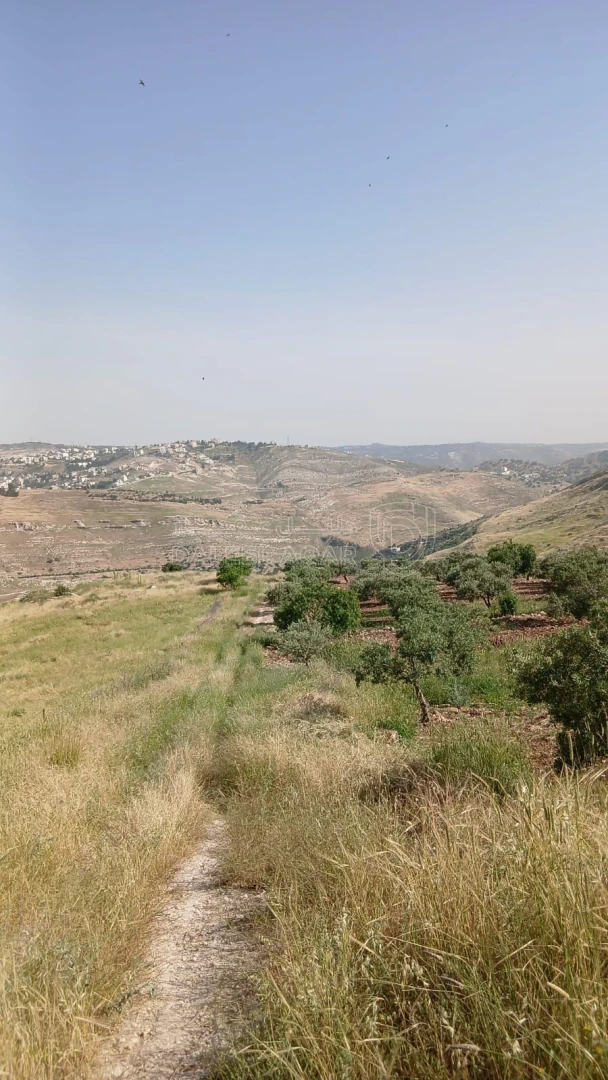 أرض في السلط - الفزره - تبعد عن جسر الدبابنه 10 دقايق - 115,000 دأ - صورة 1