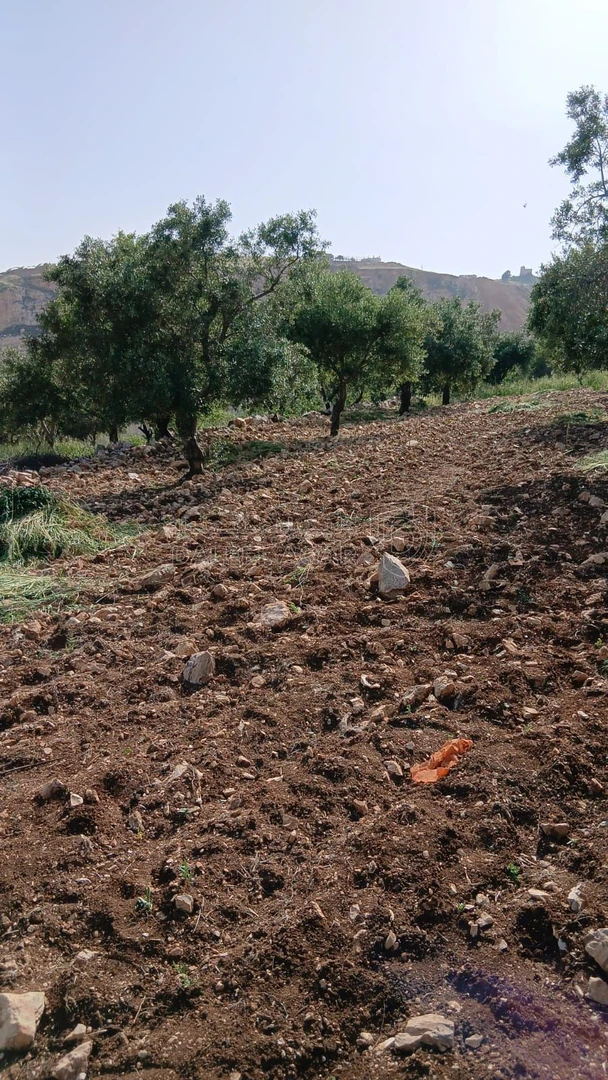 أرض في السلط - الفزره - تبعد عن جسر الدبابنه 10 دقايق - 115,000 دأ - صورة 1