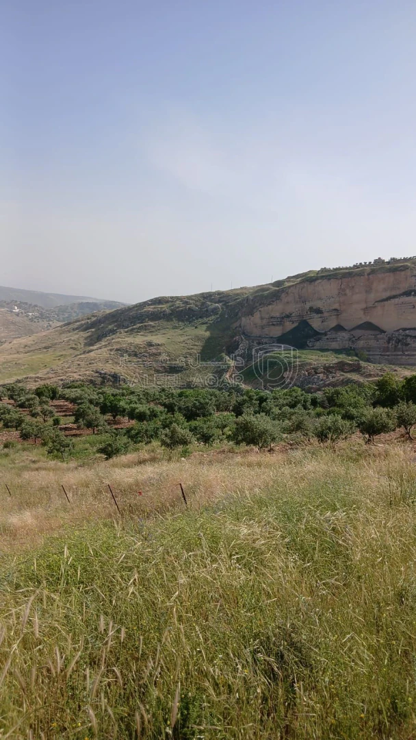 أرض في السلط - الفزره - تبعد عن جسر الدبابنه 10 دقايق - 115,000 دأ - صورة 1