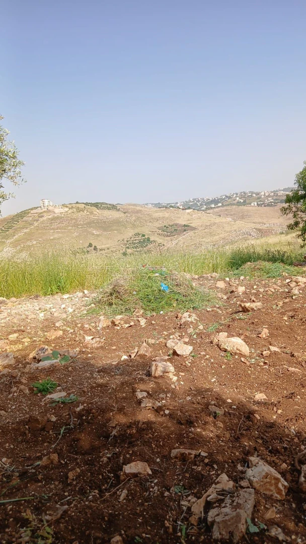 أرض في السلط - الفزره - تبعد عن جسر الدبابنه 10 دقايق - 115,000 دأ - صورة 1