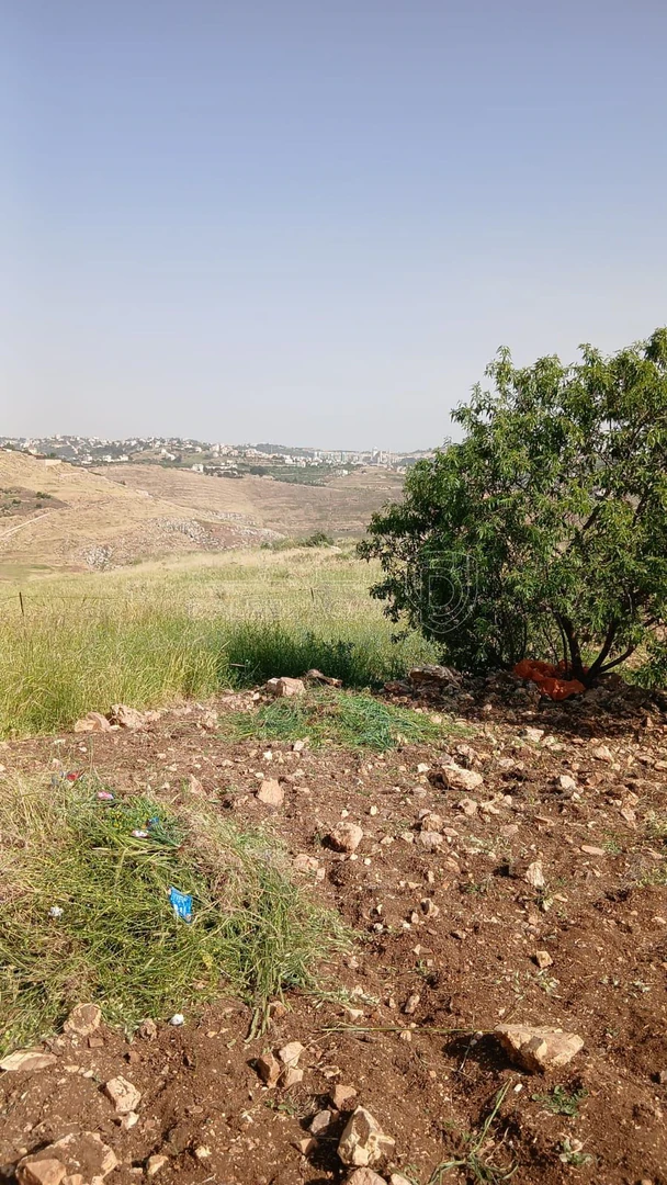 أرض في السلط - الفزره - تبعد عن جسر الدبابنه 10 دقايق - 115,000 دأ - صورة 1