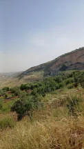 أرض في السلط - الفزره - تبعد عن جسر الدبابنه 10 دقايق  - 115,000 دأ - صورة NaN