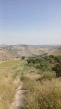 أرض في السلط - الفزره - تبعد عن جسر الدبابنه 10 دقايق  - 115,000 دأ - صورة NaN