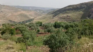 أرض في السلط - الفزره - تبعد عن جسر الدبابنه 10 دقايق  - 115,000 دأ - صورة 1