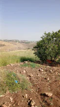 أرض في السلط - الفزره - تبعد عن جسر الدبابنه 10 دقايق  - 115,000 دأ - صورة NaN