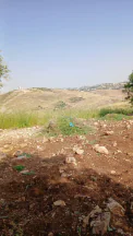 أرض في السلط - الفزره - تبعد عن جسر الدبابنه 10 دقايق  - 115,000 دأ - صورة NaN