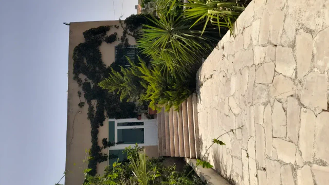 مزرعة/شاليه - السلط دعم الغزالات بالقرب من مسجد الاخلاص - 155000 دأ