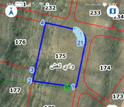 أرض في قطعة أرض مساحتها ٤ دونم للبيع - 62,000 دأ - صورة NaN