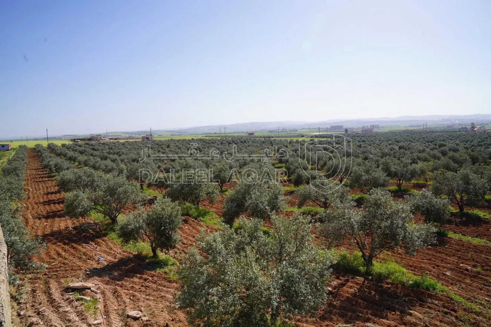 أرض في اربد الطوال الشمالي الشرقي مقابل مدينة الشاحنات - 931,854 دأ - صورة 1