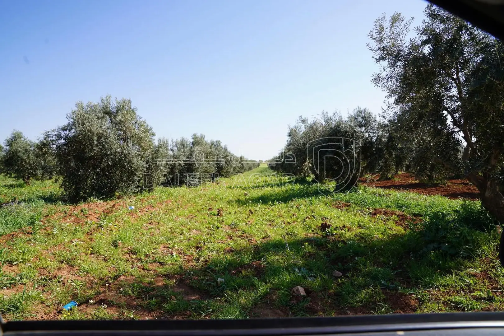 أرض في اربد الطوال الشمالي الشرقي مقابل مدينة الشاحنات - 931,854 دأ - صورة 1