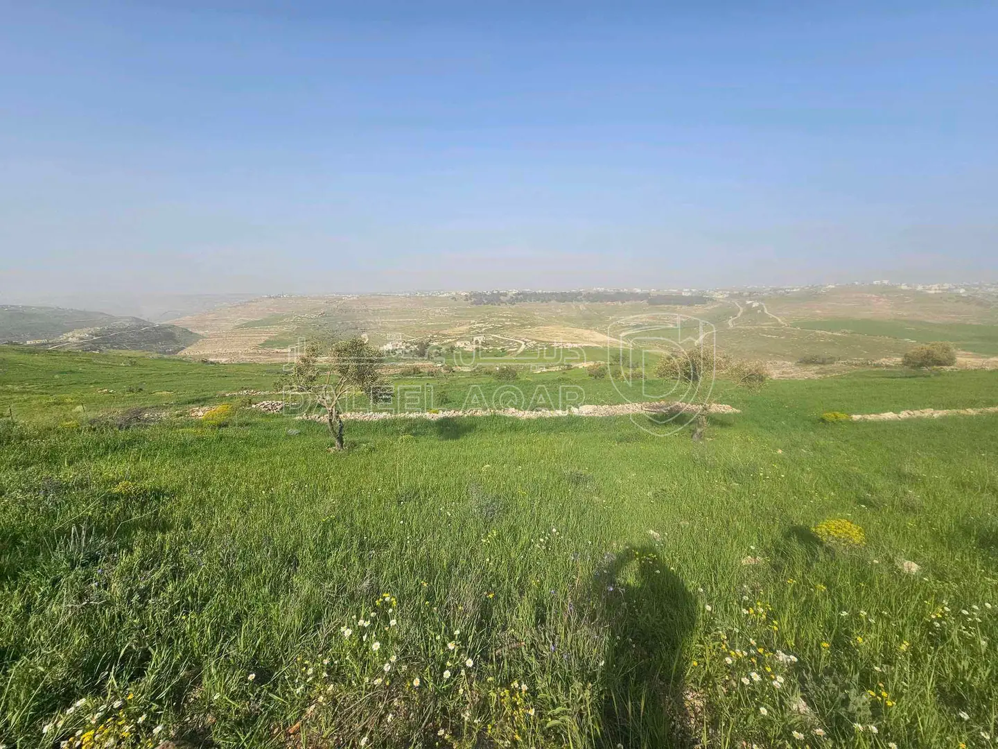أرض في الكرك /عينون - 17,000 دأ - صورة 1