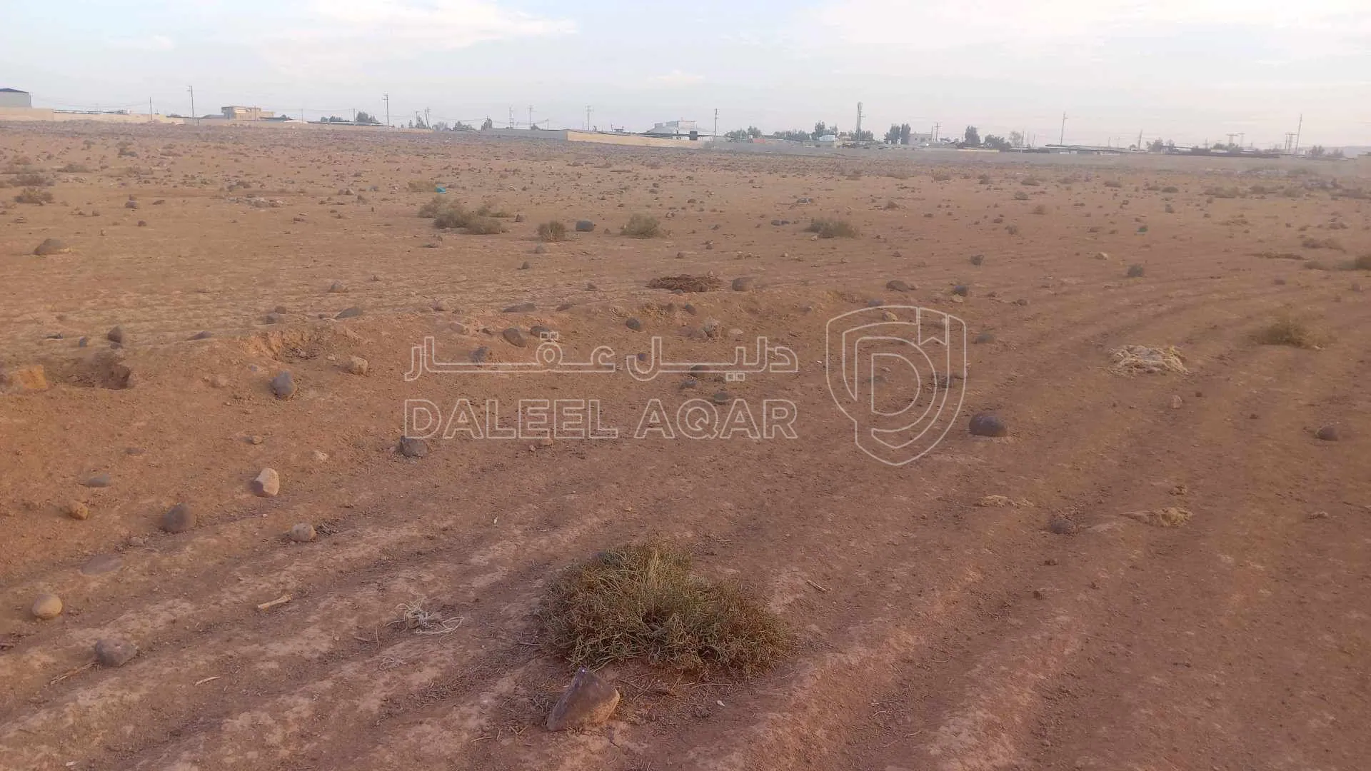 أرض في  المفرق الخالديه / جمعيه الابقار  - 21,000 دأ - صورة 1