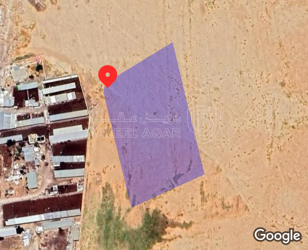 أرض في  المفرق الخالديه / جمعيه الابقار  - 21,000 دأ - صورة 1